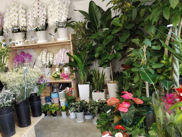 「花長」　（神奈川県平塚市）の花屋店舗写真4