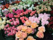 「花長」　（神奈川県平塚市）の花屋店舗写真2